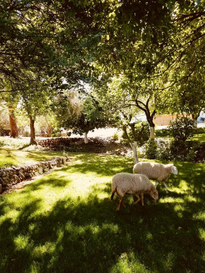 Cortijo Bablou - Maison De Vacances (adults Only) *